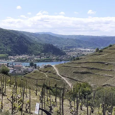 Du Vigneron A La Terrasse Piscine Local Velos Tatil Evi *